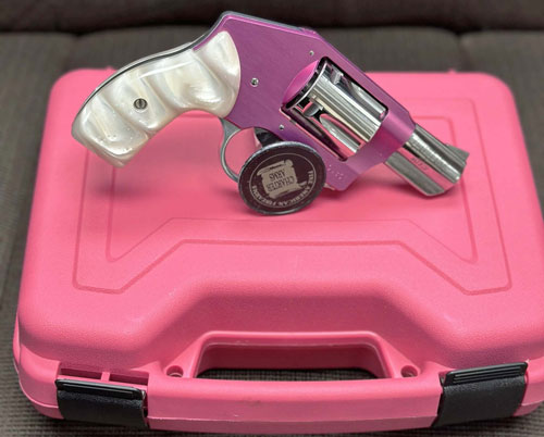 Charter Arms Chic Lady 38Spl Off Duty 2